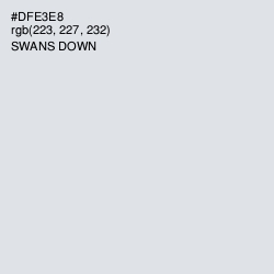 #DFE3E8 - Swans Down Color Image
